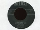 BILL ROBINSON & THE QUAILS A Little Bit of Love DeLuxe R&B Doo Wop 45 Hear