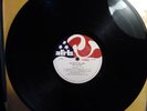 NEW YORK DOLLS / EDGAR WINTER - TOO MUCH TOO SOON/SHOCK TREATMENT LP AFRTS EX