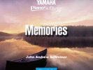 Rare Find  New Yamaha 