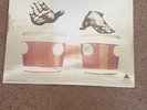 INCREDIBLE BONGO BAND - BONGO ROCK  VINYL RECORD