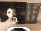 Kate Bush 