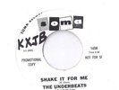 THE UNDERBEATS Shake it for Me 45 RECORD DJ PROMO SOMA RECORDS PRIVATE MN GARAGE