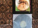 Van Morrison - Astral Weeks [ Vinyl] 180 Gram