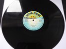 BO KOOL (Money) No Love FUNK MASTERS TANIA MUSIC 1980 UK VINYL 12” DISCO 1981