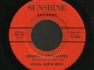 Ohio Bluegrass 45   Burns Brothers   Sunshine   Hear