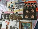 the beatles e.p.vinyl collection