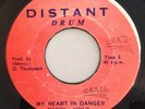 ERROL HOLT - MY HEART IN DANGER - DISTANT ( ROOTS 7 )