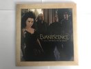 Evanescence - Call Me When You're Sober - 7