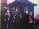 Freedom Through The Years Vertigo Swirl Very Rare 1st Edition 6360 049