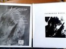 Catherine Wheel I WANT TO TOUCH YOU Double Vinyl silkscreen 12
