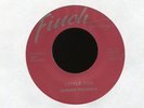 JOHNNY THUNDER Little Dog on Finch Rockabilly 45 Hear
