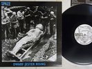 SPAZZ / BRUTAL TRUTH DWARF JESTER RISING CLEARVIEW CRVW 36-1 US PUNK VINYL LP