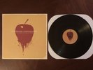 Dashboard Confessional The Shade Of Poison Trees LP Vinyl
