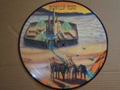 MANILLA ROAD - CRYSTAL LOGIC - PICTURE DISC - NEAR MINT