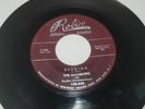 RED Robin Records 45 RPM Mary Lee/Evening By The Rainbows