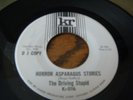 The Driving Stupid Garage Psych 45 on Kr  