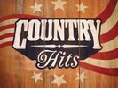 GARTH BROOKS MONTGOMERY GENTRY BROOKS & DUNN 2600+ MP3's on16GB USB FLASH DRIVE