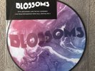 BLOSSOMS RSD 2017 PICTURE DISK LIMITED EDITION NEW AND SEALED