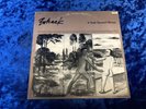Bohack - It Took Several Wives ? VINCENT GALLO 1982 ELECTRONIC NO WAVE RARE OOP