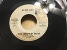 big dee irwin-you satisfy my needs-promo 45 vinyl vg rare from 1965