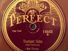 Perfect 14645 WE THREE ( Red Nichols) TRUMPET SOBS rare 1926 78 rpm E 20's  Jazz