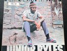 Junior Byles - Beat Down Babylon - UK Trojan original LP - Lee Scratch Perry