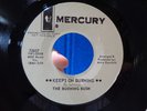 VINTAGE DJ PROMO DEMO 45 RECORD BURNING BUSH **KEEPS ON BURNING** MERCURY #95