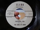 VINTAGE DJ PROMO DEMO 45 RECORD * THE SONS OF ADAM * FEATHERED FISH ALAMO #103