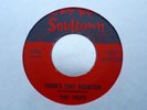 RARE 70s RE-PRO - THE TRIPS - THERES THAT MOUNTAIN - SOULTOWN  - NEAR MINT