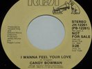 Modern Soul/Boogie 45-CANDY BOWMAN-I Wanna Feel Your Love-RCA Promo NOS