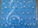 FRANCO GULLI the splendour of violin - ENRICA CAVALLO  / UNICEF