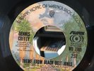 Dennis Coffey 45 Theme From Black Belt Jones SUSSEX RARE FUNK BREAKS