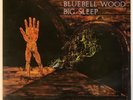 BIG SLEEP Bluebell Wood UK 1971 Orig Pegasus VINYL Prog Psych Eyes of Blue Man