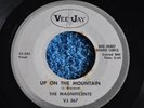 45RPM  RECORD BY THE MAGNIFICENTS-UP ON THE MOUNTAIN / LET'S DO THE CHA CHA