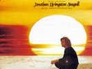 Neil Diamond ?– Jonathan Livingston Seagull ( VINYL 1981 )