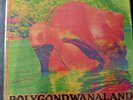 King gizzard and the lizard wizard vinyl Polygondwanaland