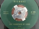 VG- HYPER RARE The Starlarks ELM Doo Wop Fountain of Love/ Send Me a Picture 45