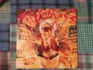TOAD THE WET SPROCKET OG Vinyl LP   Fear 1991 pop alternative record