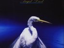 Faith No More-Angel Dust  Vinyl / 12