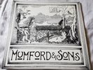 Mumford and Sons Love Your Ground UK Press 10 Inch EP  *STUNNING*