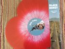 Black Honey - Hello Today/Ghost. Rare 10
