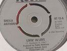 Northern Soul Monster - Sheila Anthony - Livin' In Love - Original UK - Listen