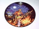 IRON MAIDEN - CAN I PLAY IN PARIS / LIVE 2013 - LP VINYL PICTURE DISC RARE X391