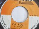 Reggae George-Fig Root