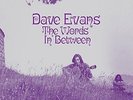 Dave Evans-The Words Inbetween  (UK IMPORT)  VINYL NEW