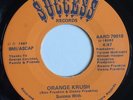 Random Rap 45 Success With Ron Franklin - Orange Kush - Success 1987 -Hear it