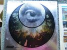 THE END - Introspection - LONDON Release - No scratches - PROMO  Vinyl LP