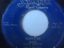 RARE BLUES 45/ CLIFF BUTLER 