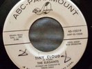 ELEGANTS 45 Tiny cloud / I've seen everything ABC PARA DJ VG++ Doowop e3312