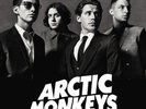 Arctic Monkeys Concert Ticket Birmingham Arena